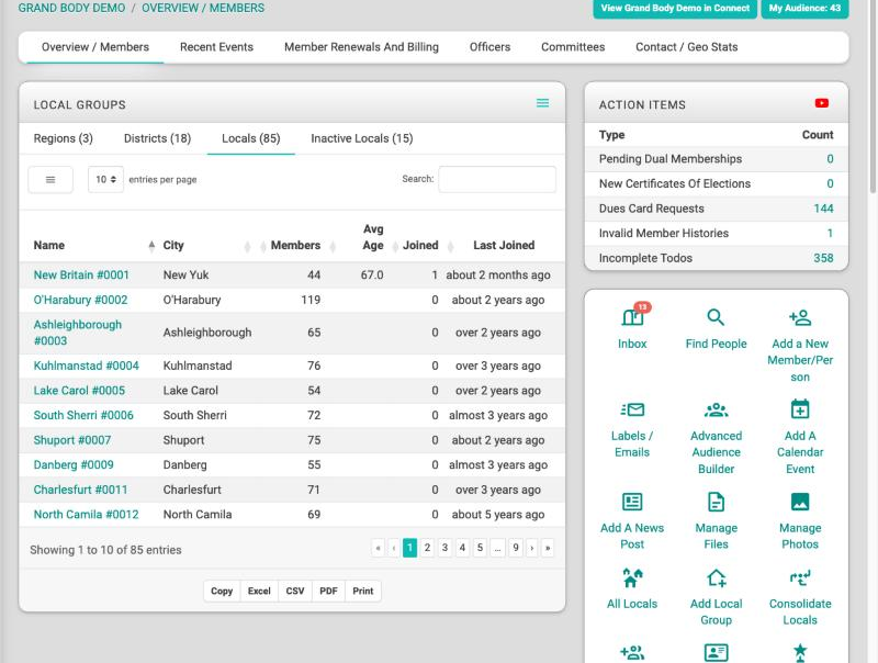 The top of the parent group page, showing the tab row, the Local Groups panel with its Locals tab open, and an Action Items box with counts.